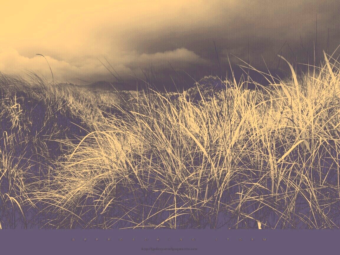 В ожидании шторма обои