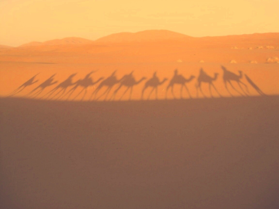 Караван обои