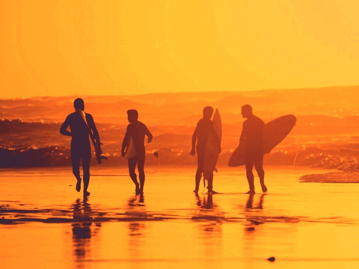 Серфингисты обои