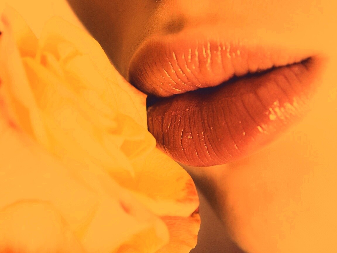Губы девушки и роза обои