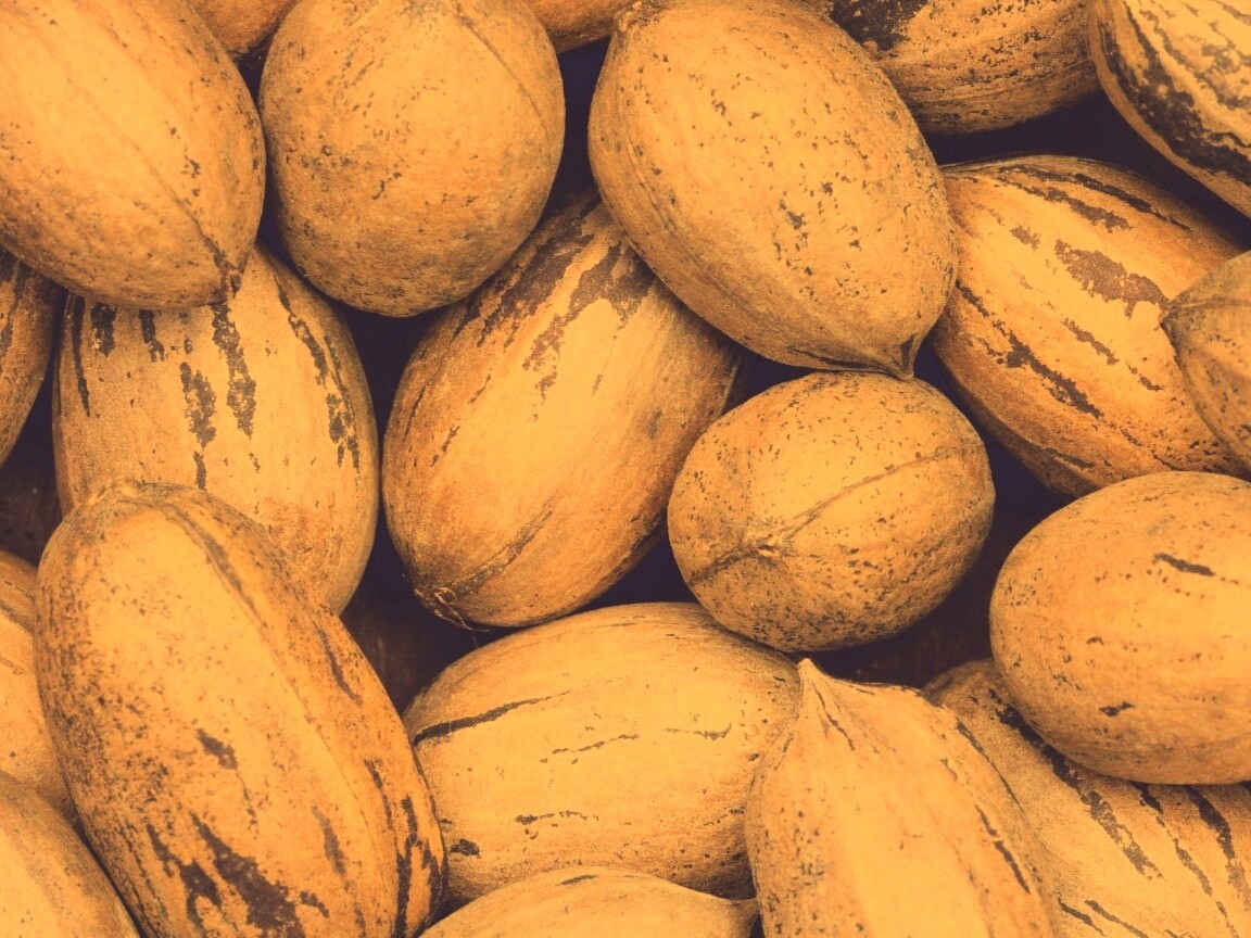 Грецкие орехи обои