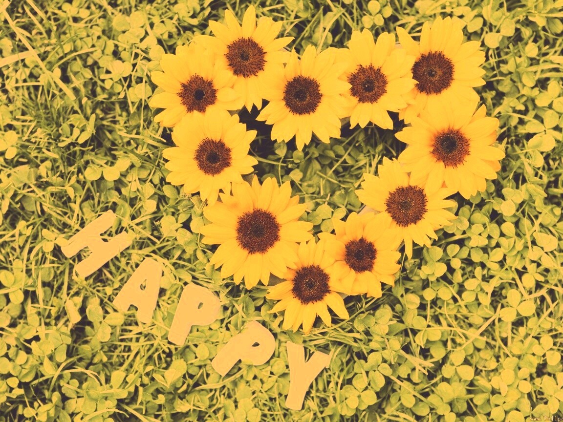 Радость обои