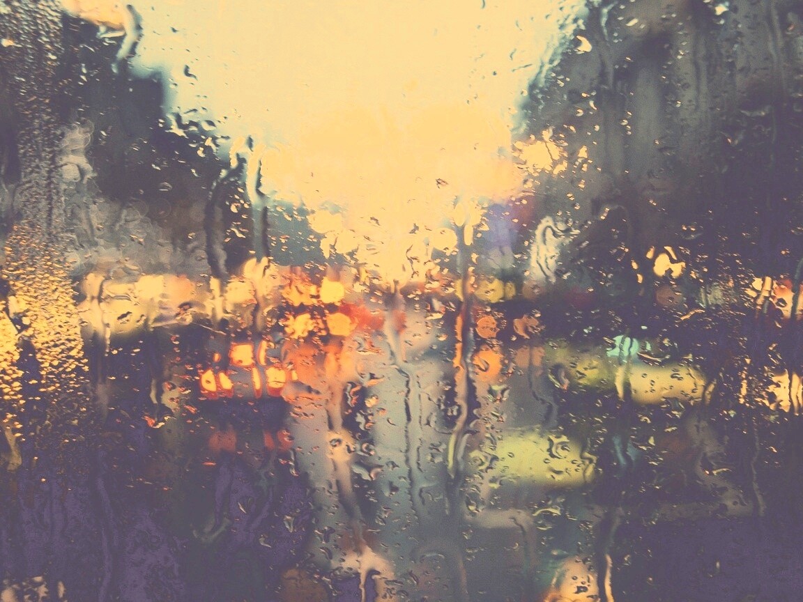 После дождя обои