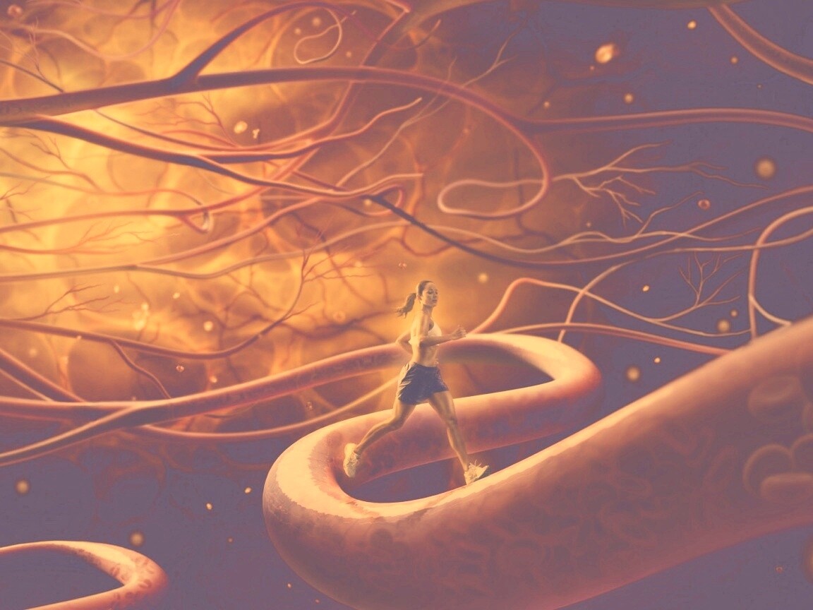 Бег крови обои