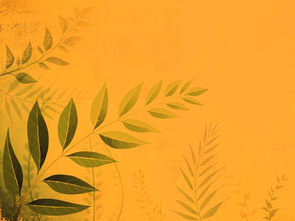 Веточка молодых листьев обои