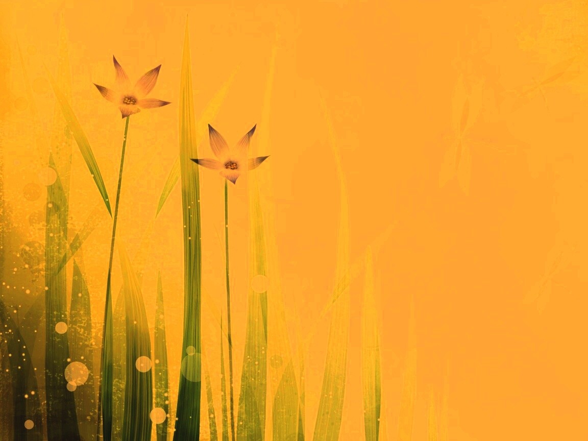 Векторные цветы обои