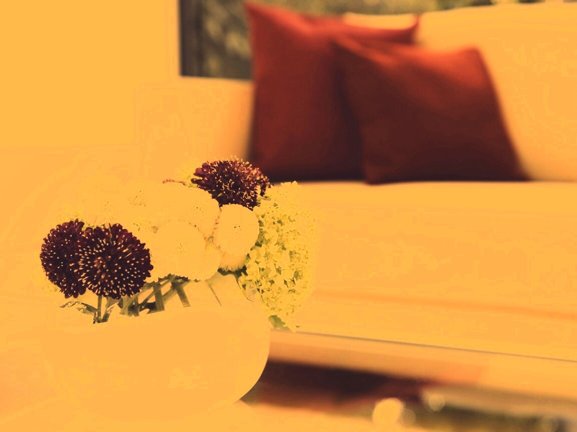 Цветы в белой вазе обои