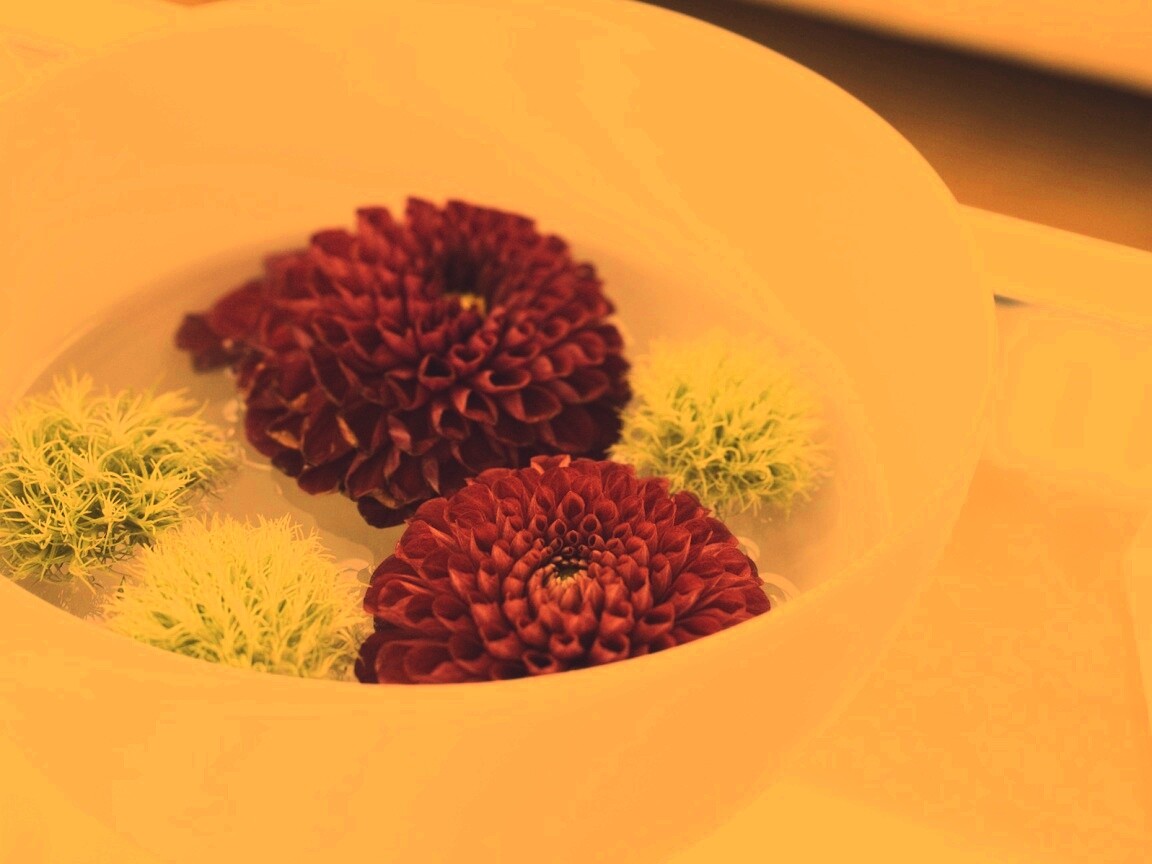 Чаша с цветами обои