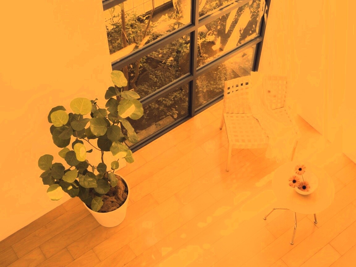 Стул, столик и цветы в комнате обои