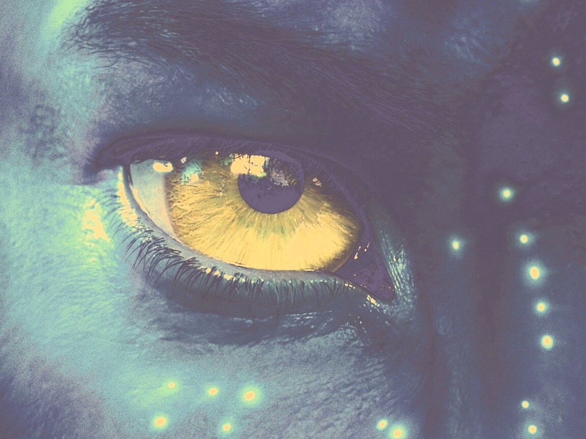 Смотрит прямо в душу обои