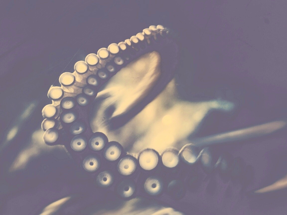 Щупальце обои