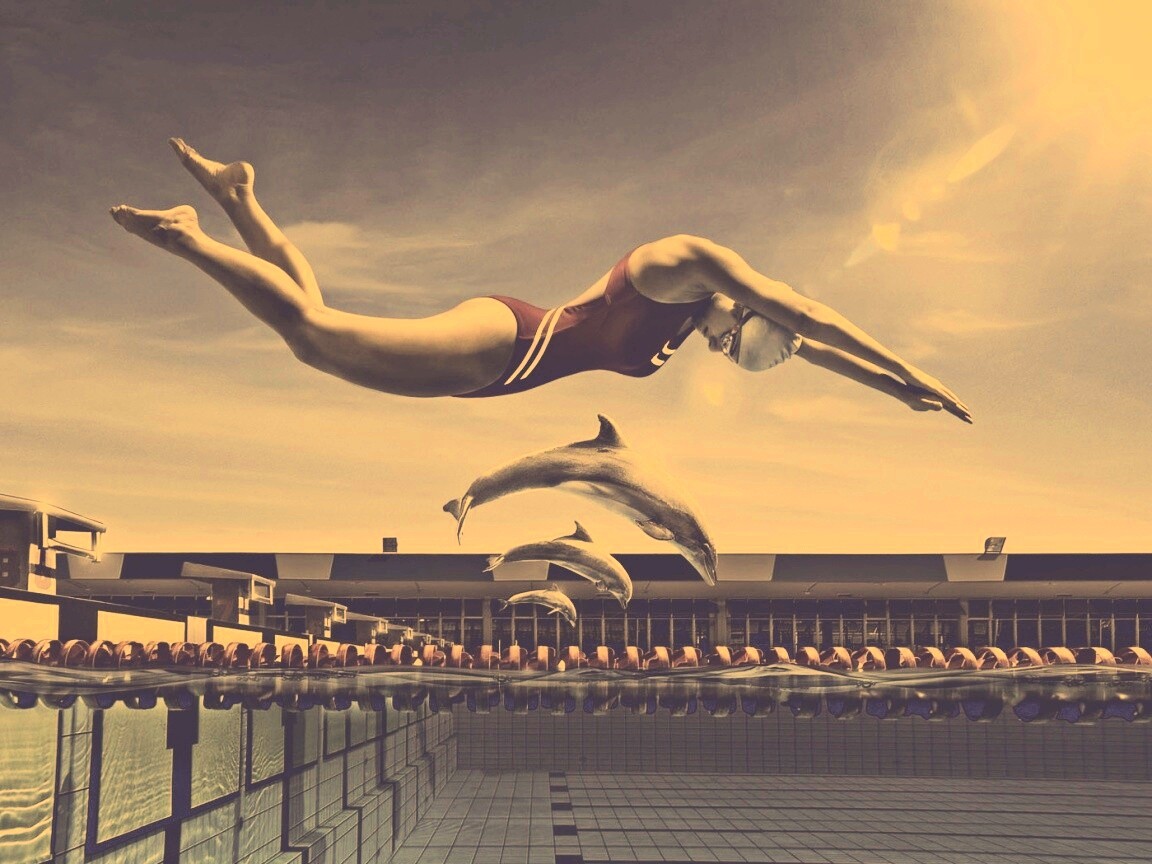 Соревнование обои