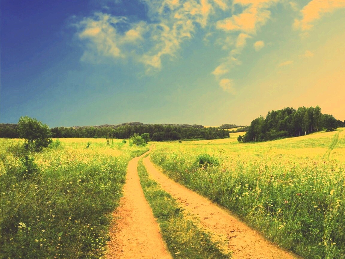 Дорога через луг обои