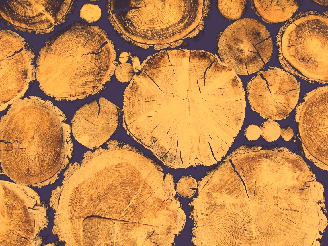 Древесный спил обои