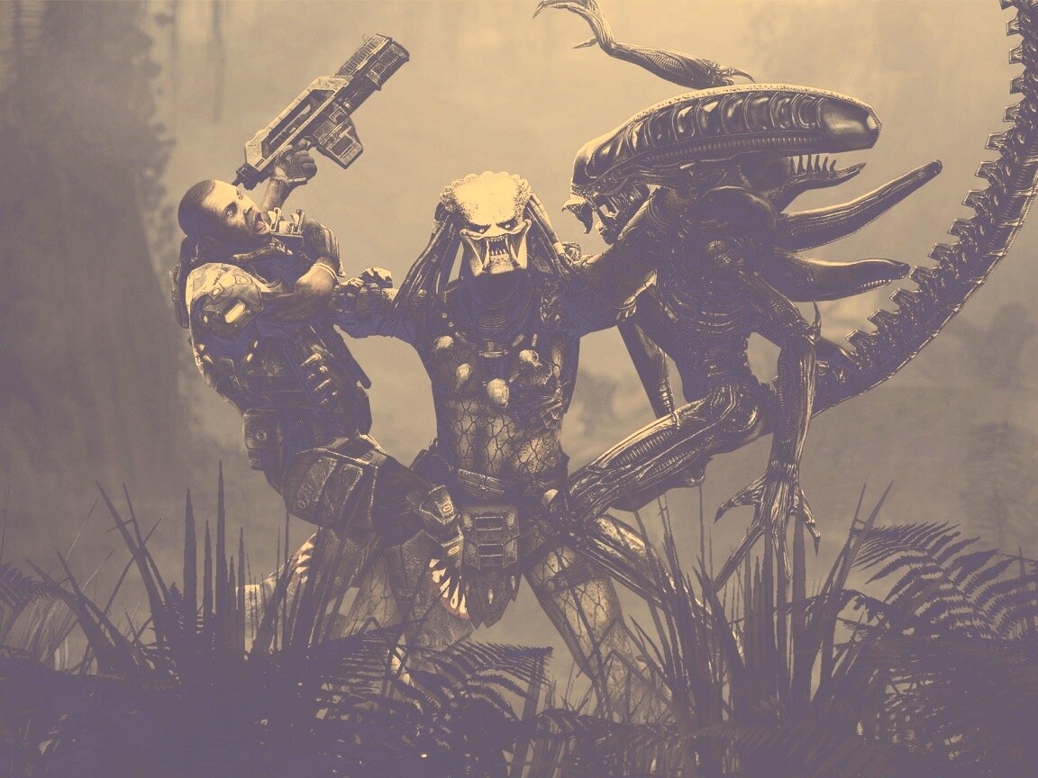 Чужой против Хищника обои