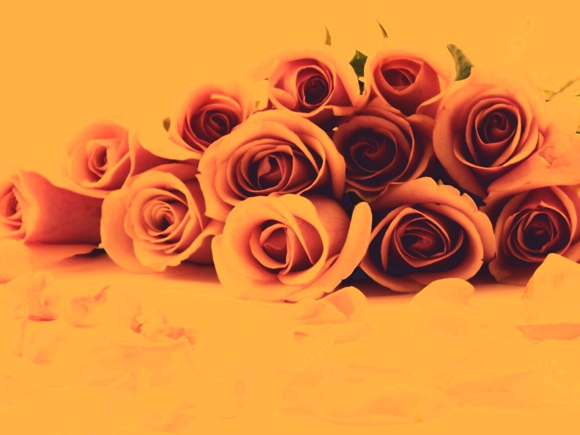 Букет роз обои