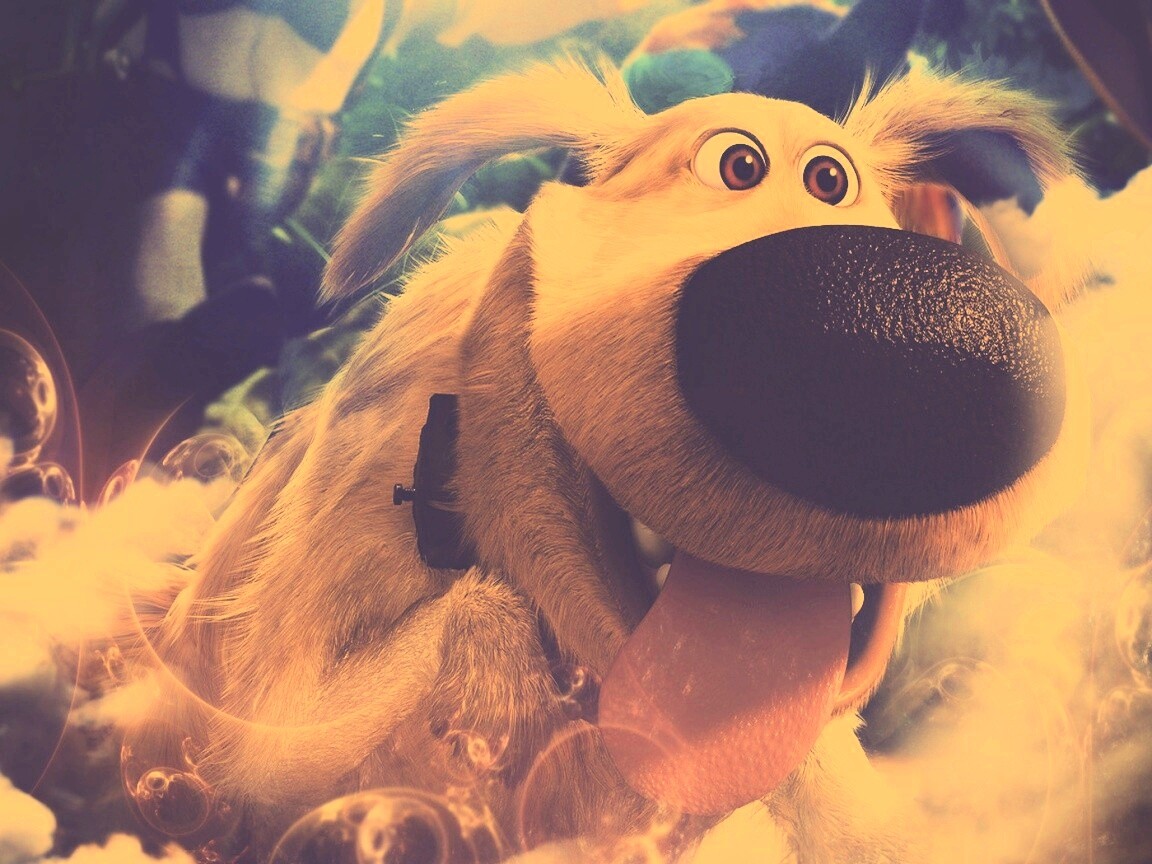 Собака из мультфильма Up обои