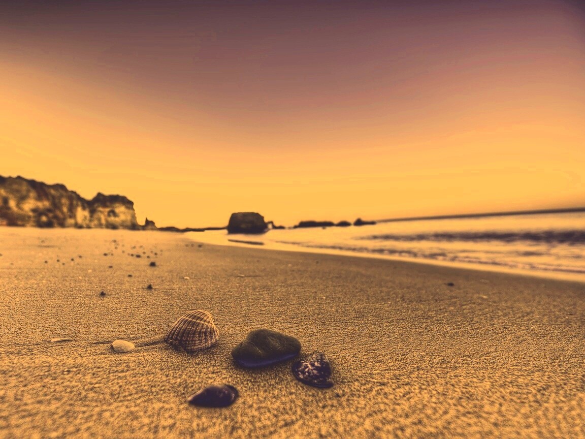 Океанский берег обои