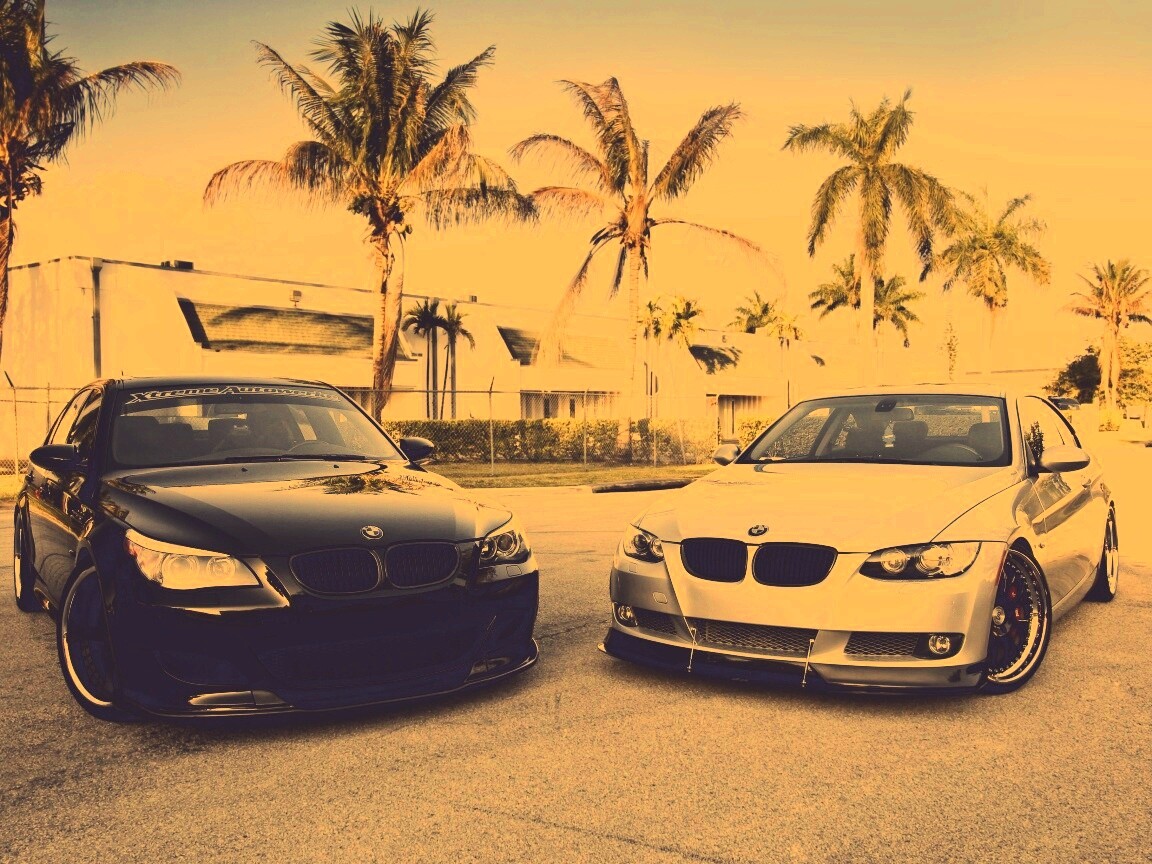 Две БМВ обои