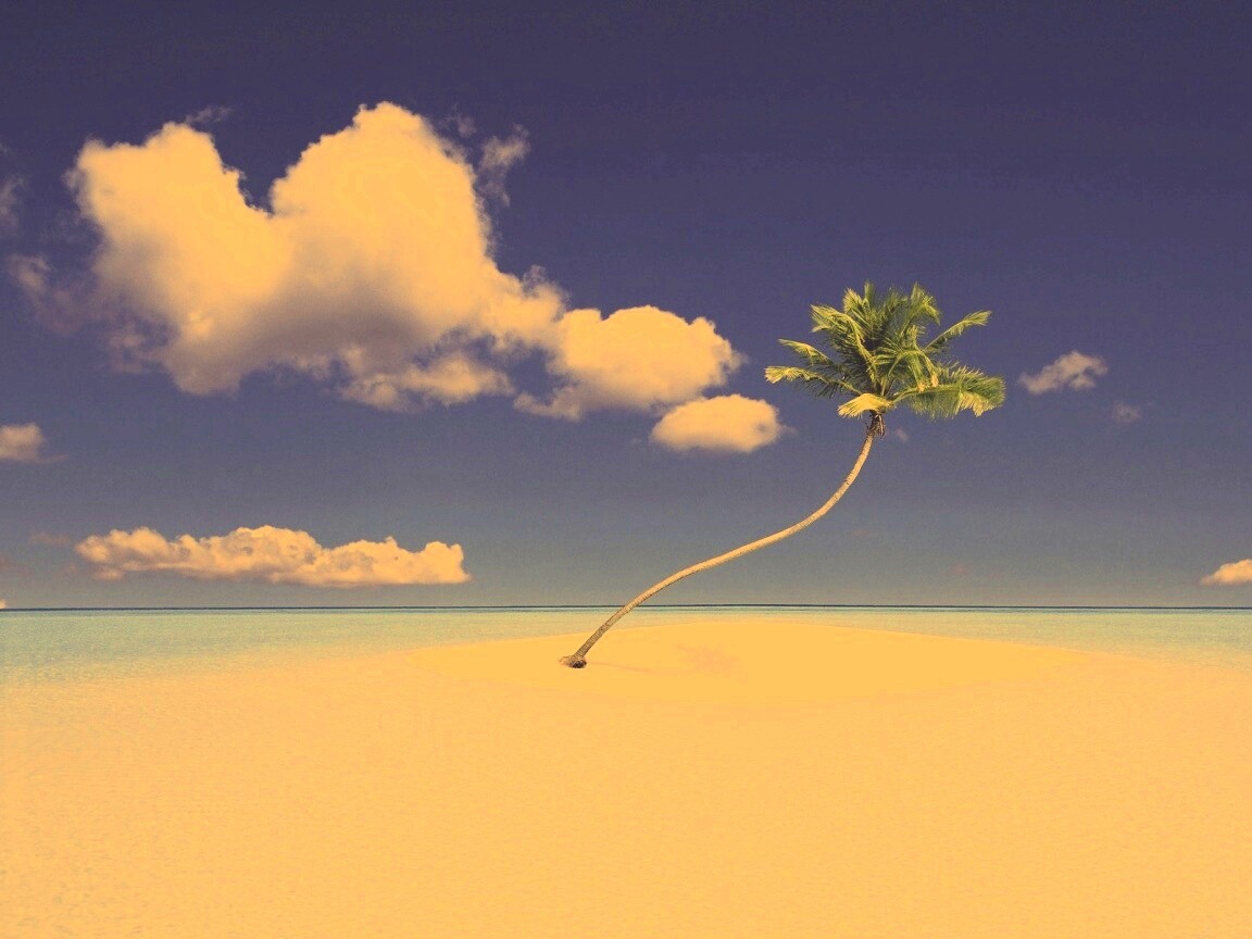 Идеальный пальмовый остров обои