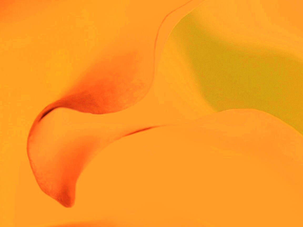 Оттенки природы обои