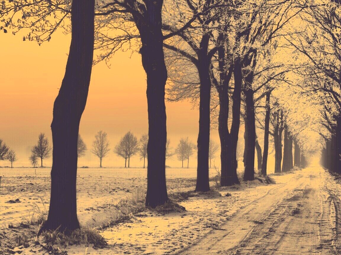 Морозное утро обои