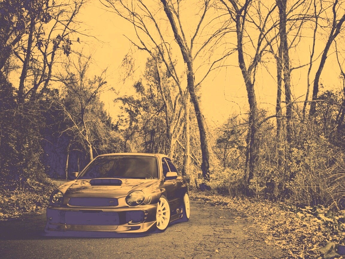 Субару Импреза на лесной дороге обои