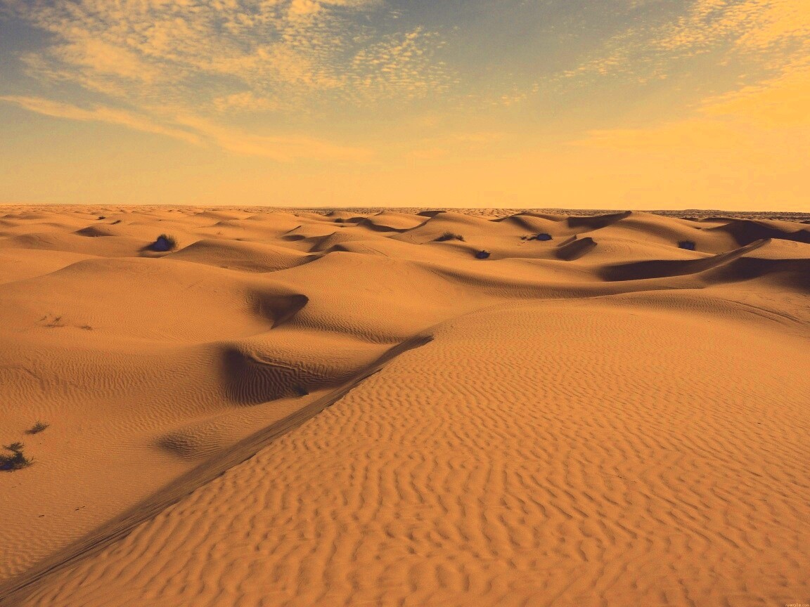 Пустыня до самого горизонта обои