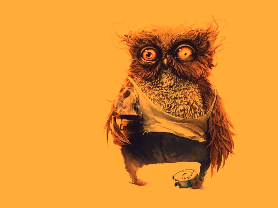 Не спящая сова обои