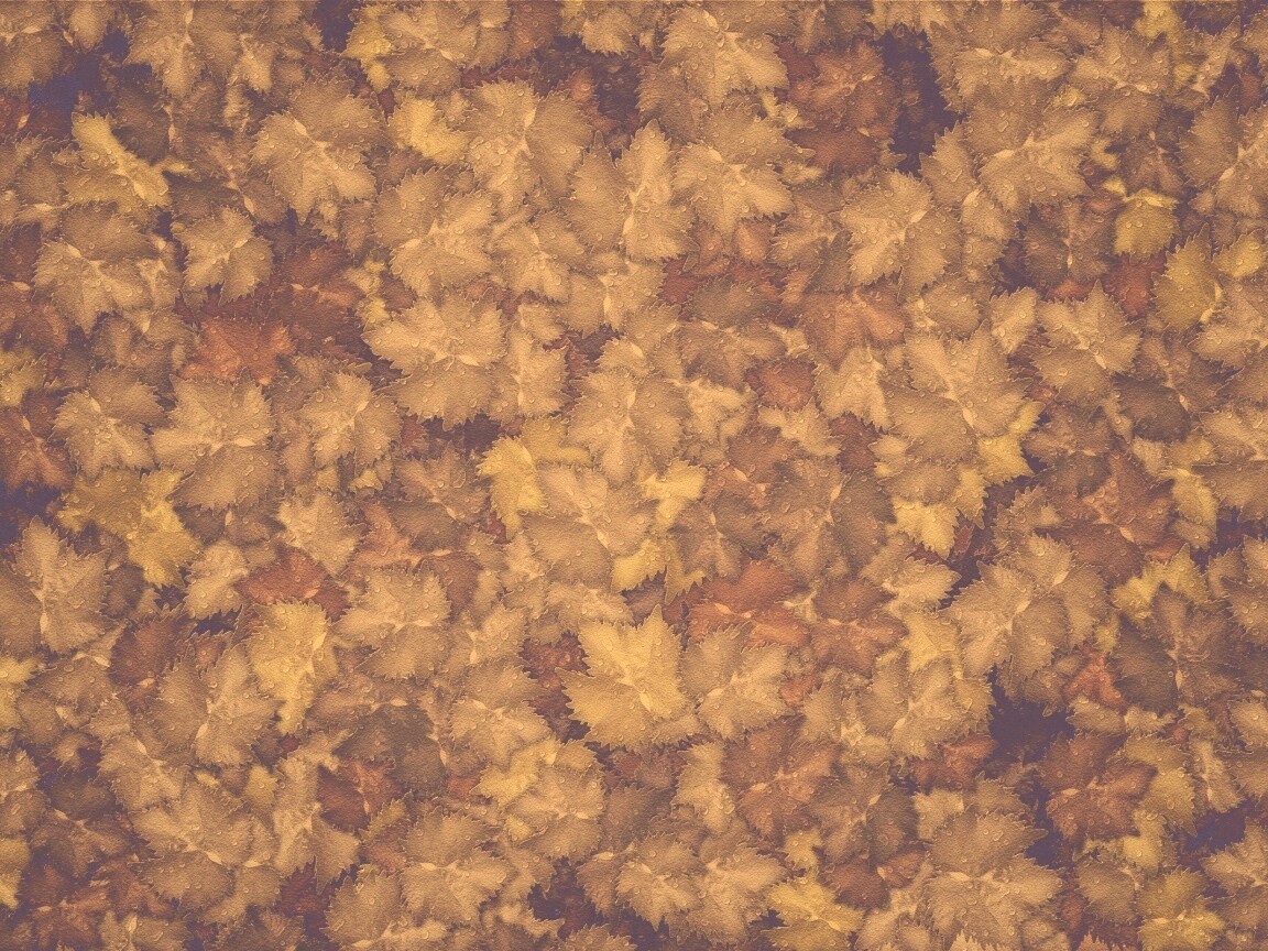 Осенние листья обои