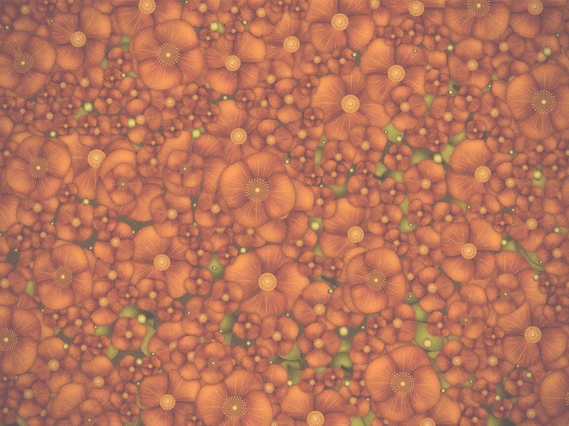 Рисунко с красными цветами обои