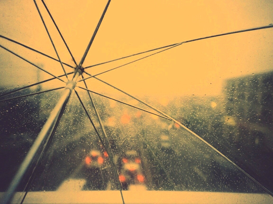 Вид сквозь прозрачный зонтик обои