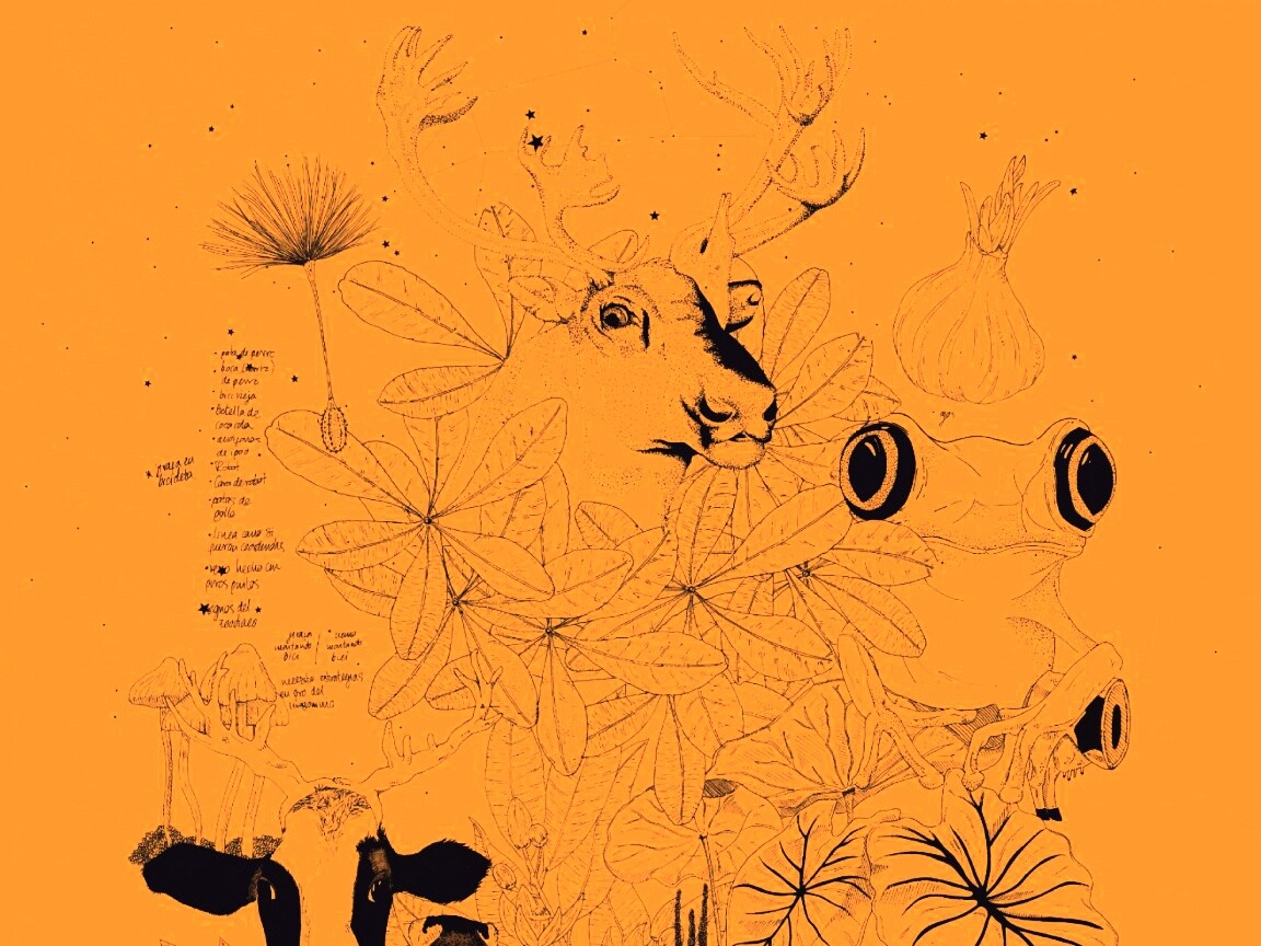 Животные на рабочий стол Apple обои