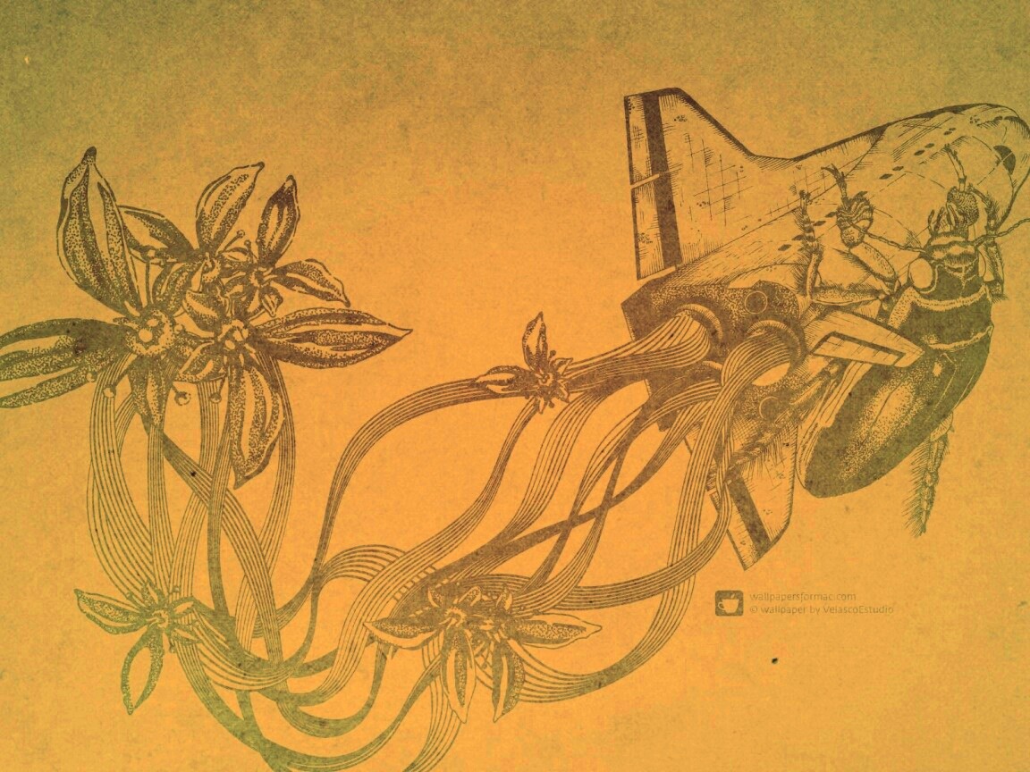 Абстракции для Apple обои