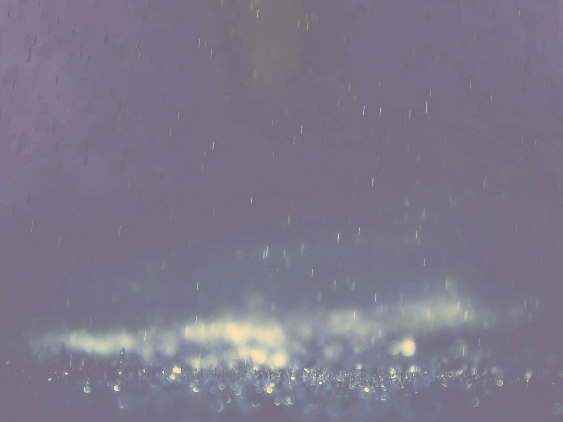 Макро фото дождя обои