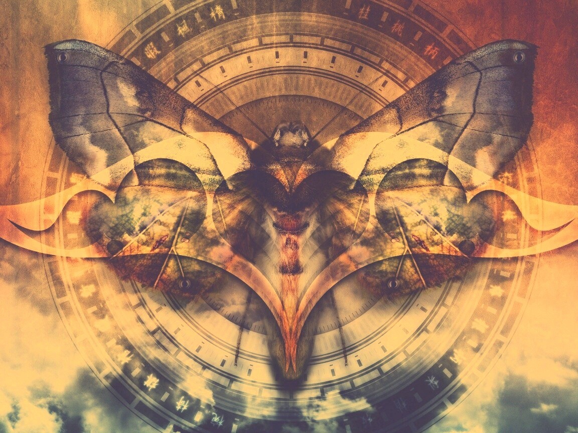 Красивая фэнтезийная бабочка обои