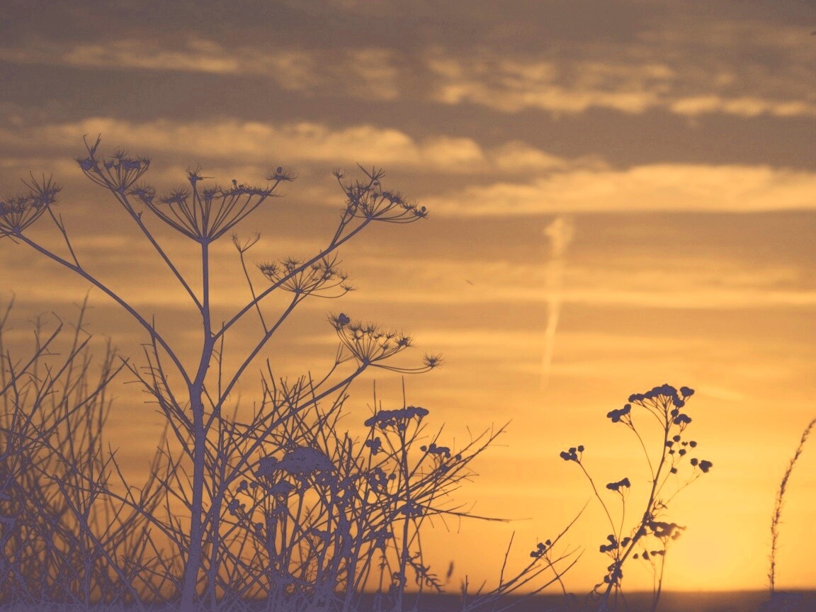 Степной закат обои