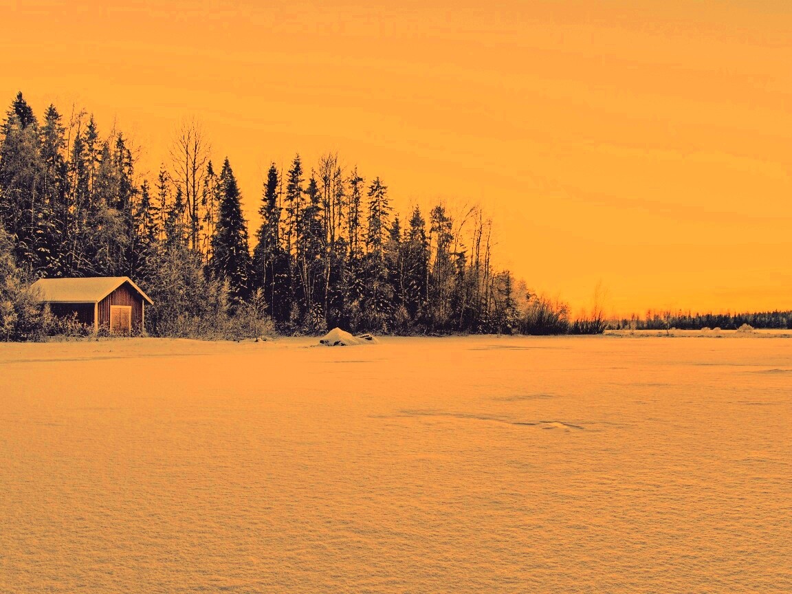 Зимний закат обои