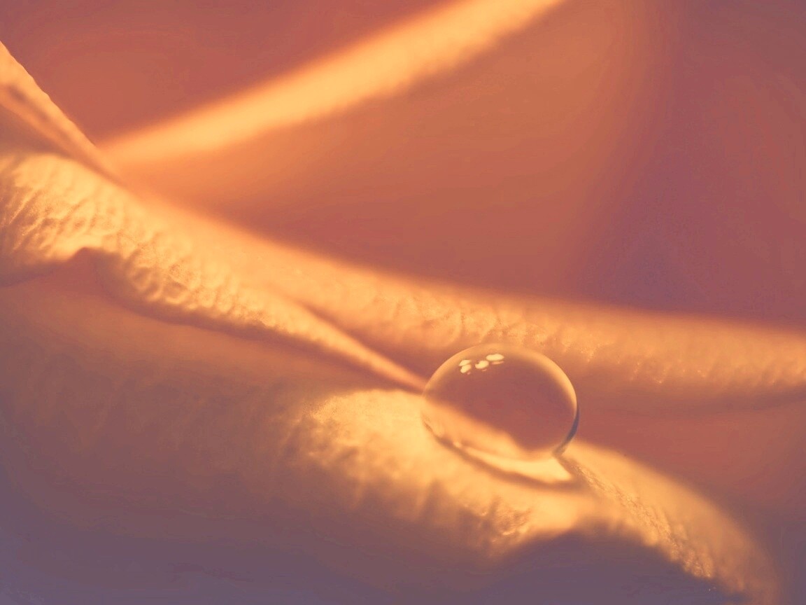 Капелька обои