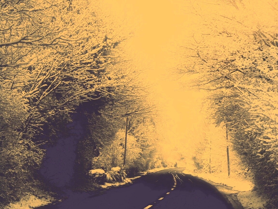 Дорога через зимний лес обои