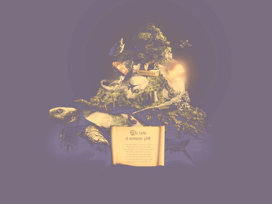 Огромная в обхвате черепаха обои