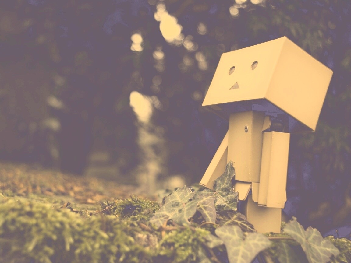 Danbo смотрит вверх обои