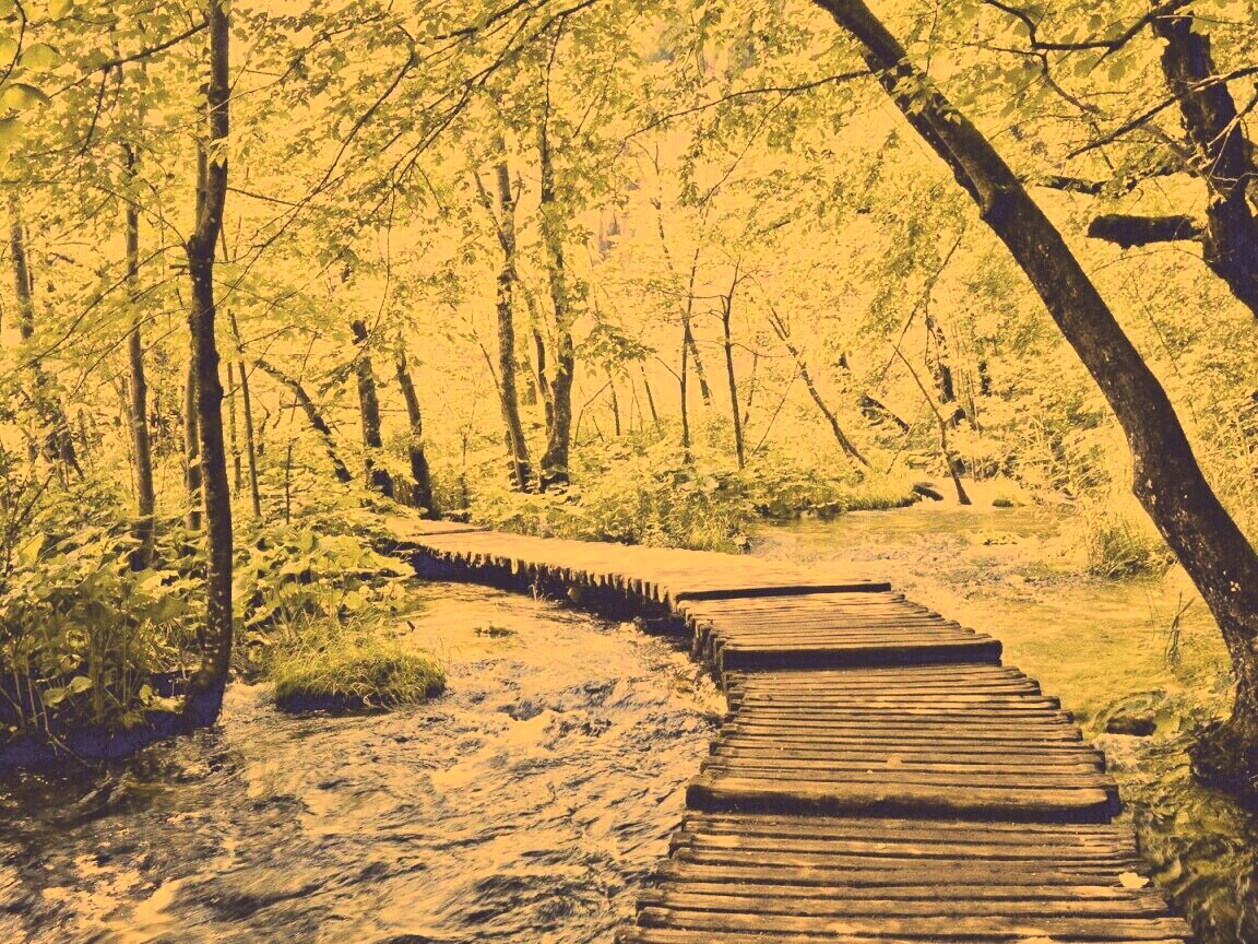 Тропинка над водой обои