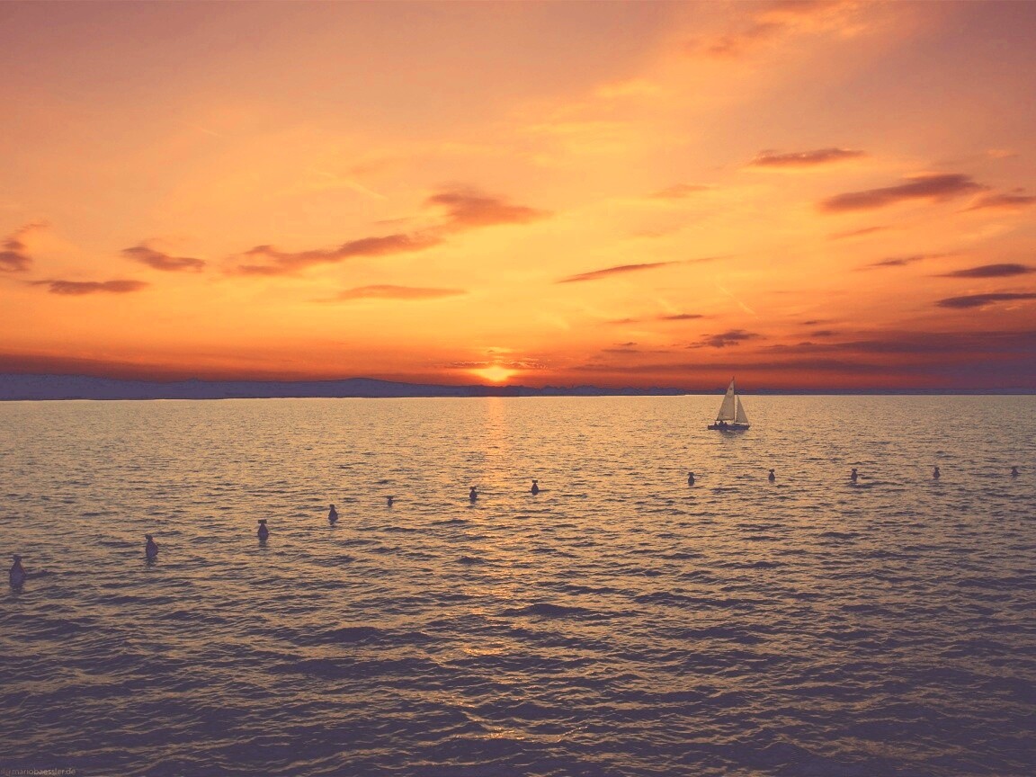 Морской закат обои