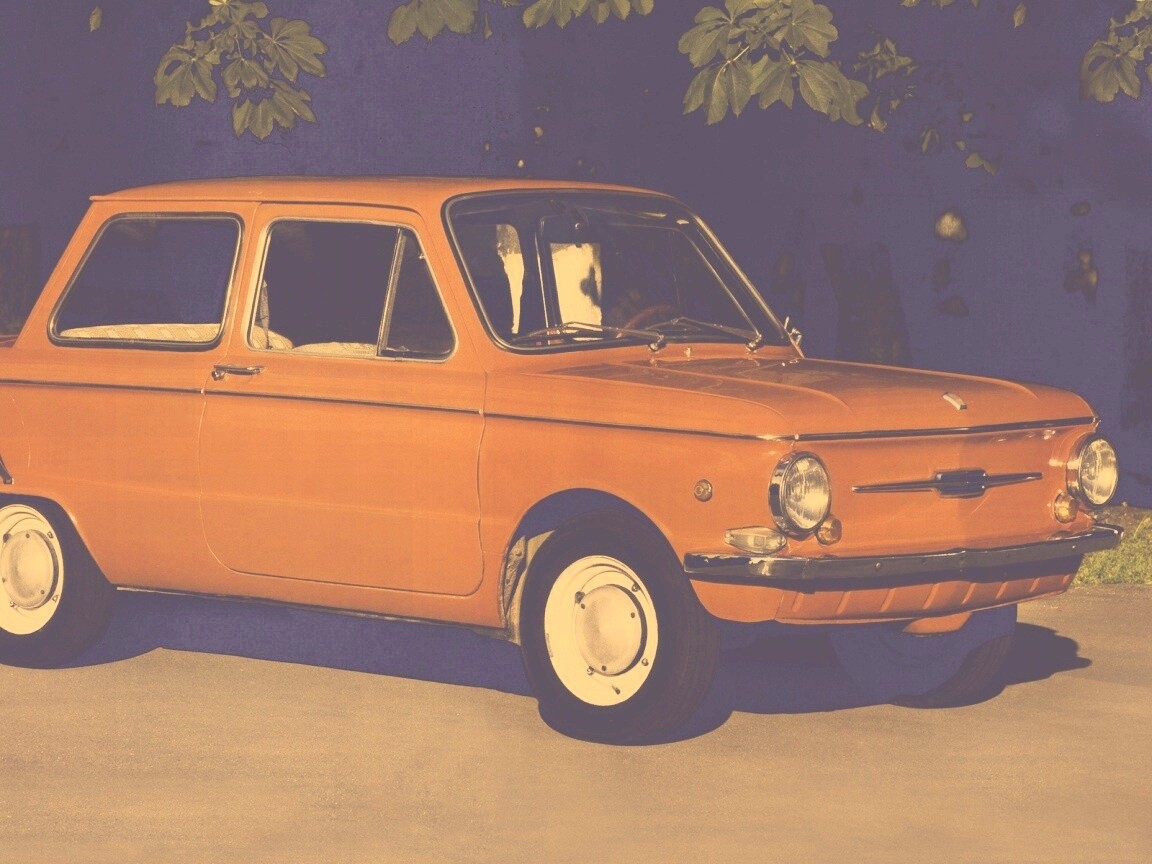 Оранжевый ушастый запорожец обои