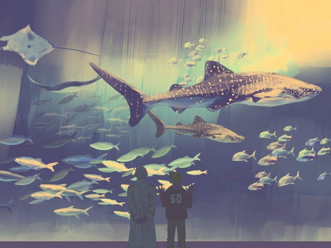 Двое в океанариуме обои