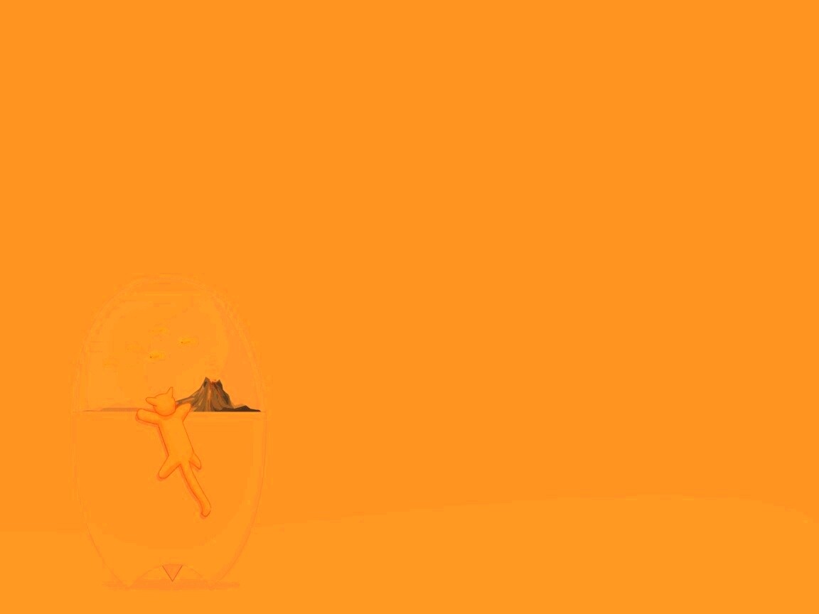 Кот прыгает на аквариум обои