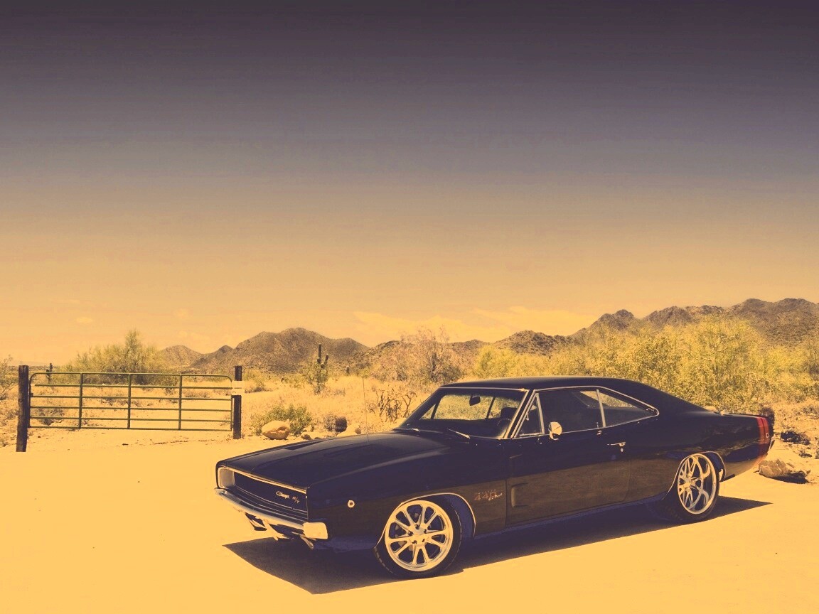 Мускулкар под палящим солнцем обои