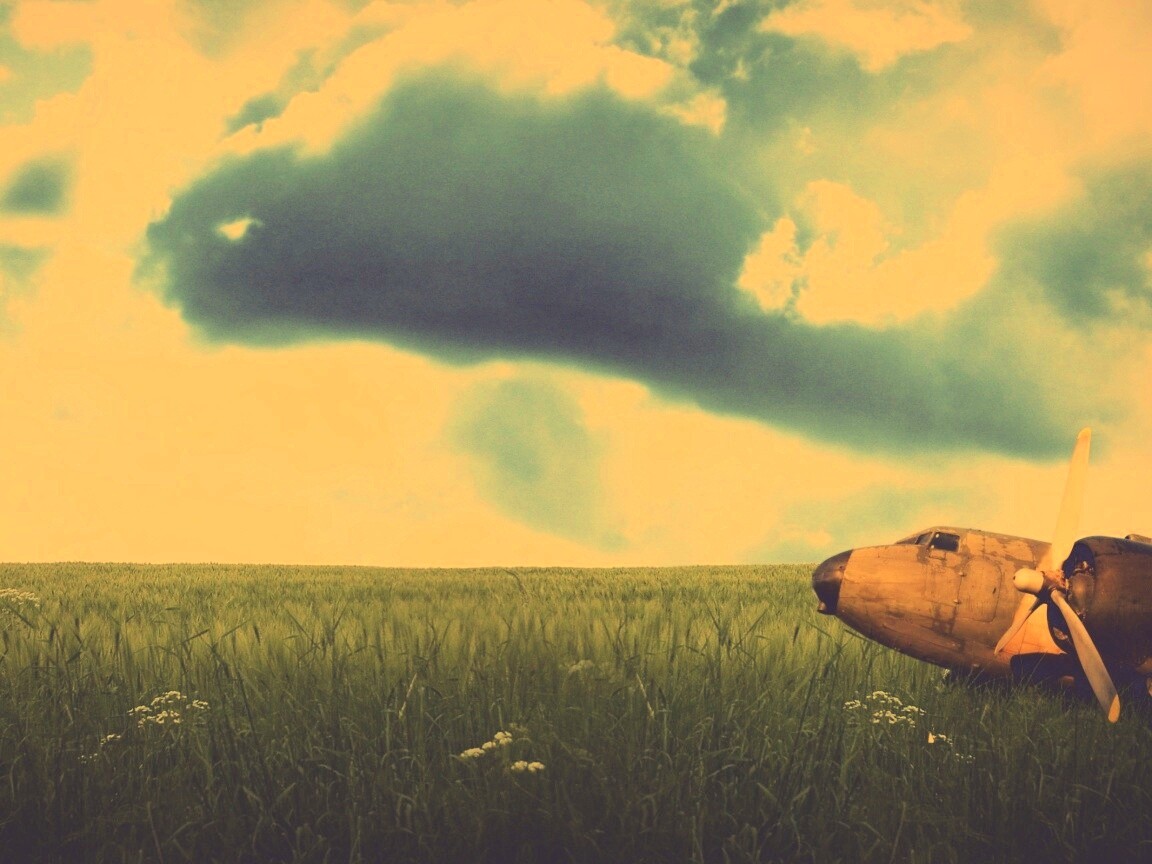 Старый ржавый самолет на лугу обои