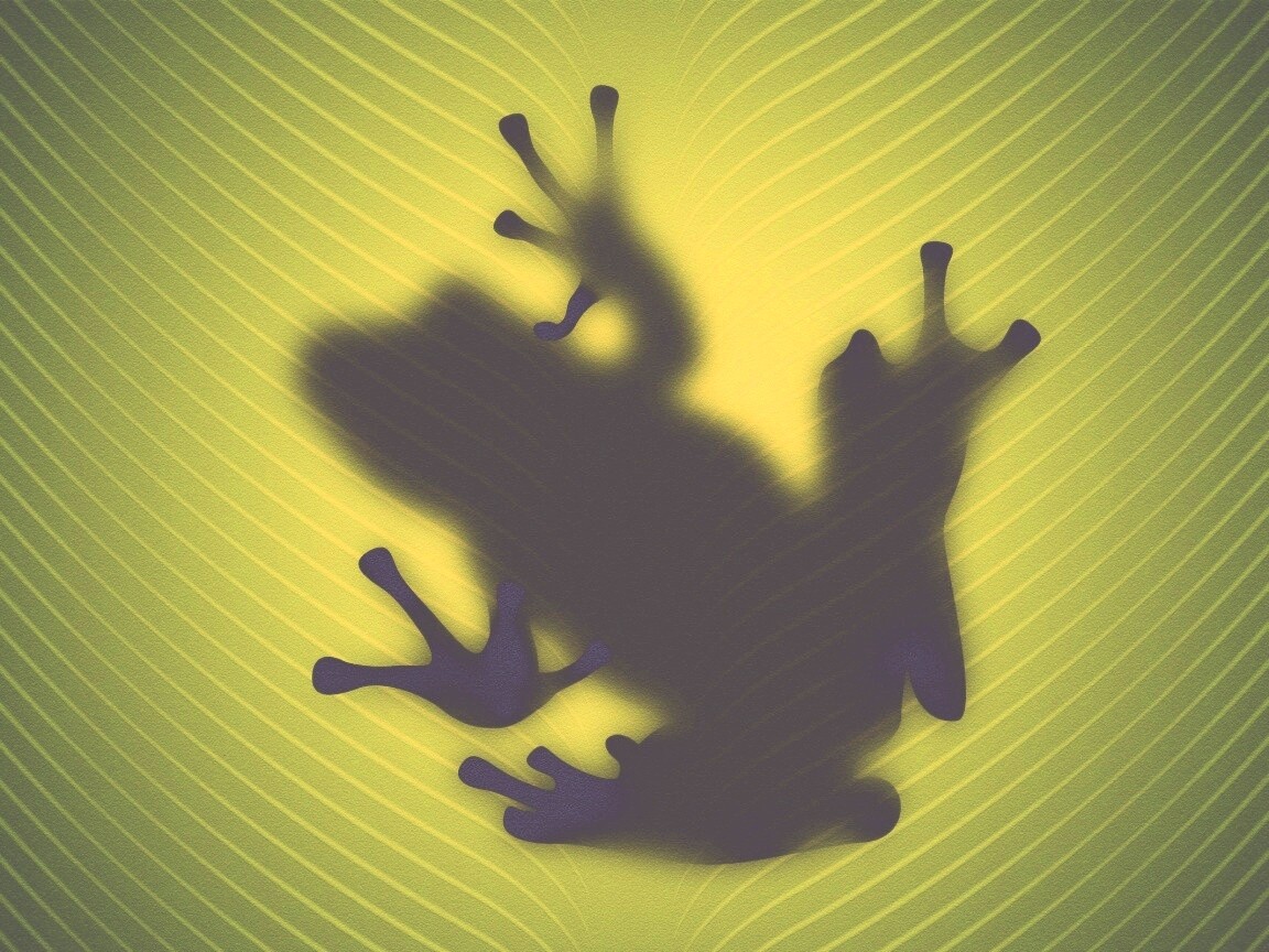 Силуэт лягушки просвечивает сквозь зеленый лист обои